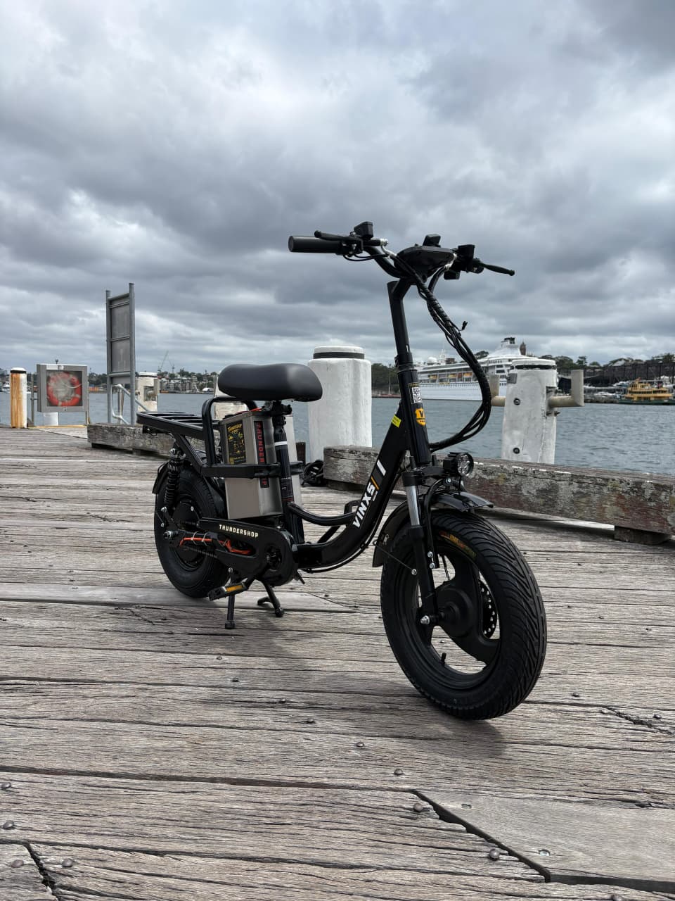 Thunder Ebike Modelo Cargo ⚡