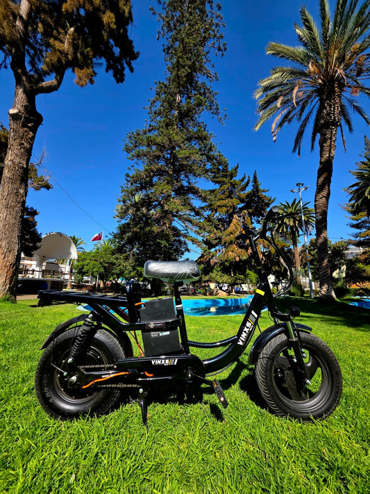 Thunder Ebike  Modelo Cargo ⚡
