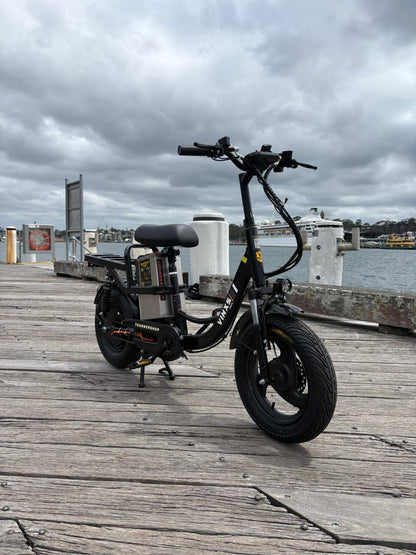 Thunder Ebike  Modelo Cargo ⚡